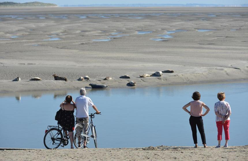 PADDLE - Vue Mer - 100M PLAGE Berck Exterior foto
